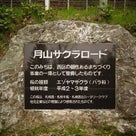 SAKURA散歩_④endの記事より