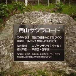 画像 SAKURA散歩_④end の記事より 8つ目