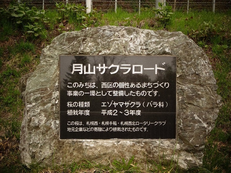 SAKURA散歩_④endの記事より