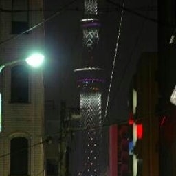 投稿写真