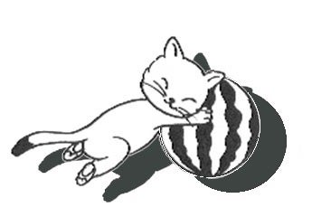 ねこ ネコ 猫 ぬりえのイラスト素材 Pixta
