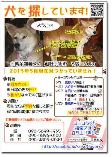 岡山の迷子犬・ヨーコちゃんを探せ！