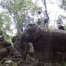 カンボジア大人気ガイドローズ現地ツアーとプノンクーレンと象の像スラダムレイの記事より