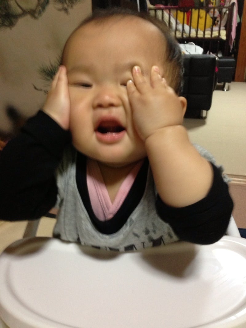 投稿写真