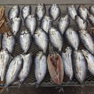 石狩朝市の朝ごはんの記事より