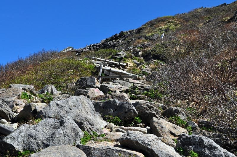 $白神山地ツアーの白神なびスタッフブログ-2013年6月上旬の岩木山登山の最新情報3