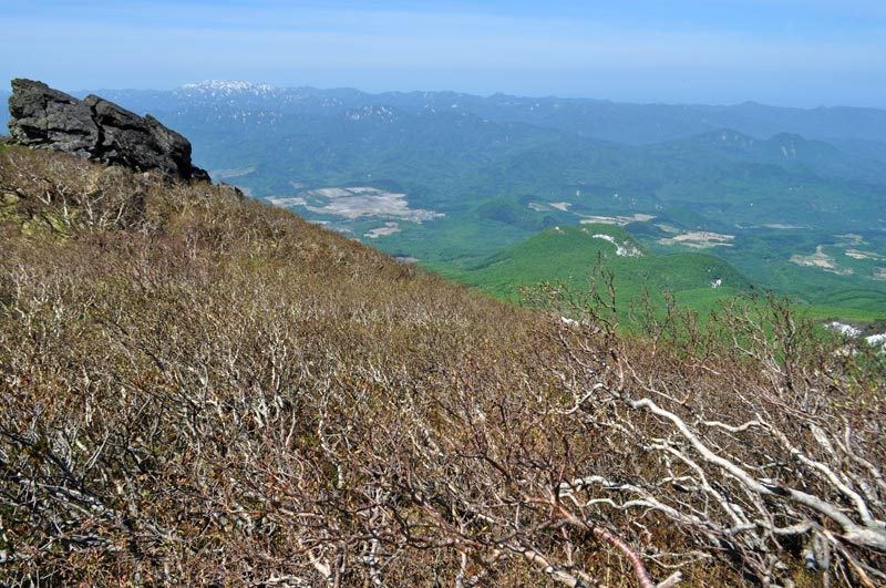$白神山地ツアーの白神なびスタッフブログ-2013年6月上旬の岩木山登山の最新情報2