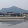 朝の水田に映る金華山と岐阜城の画像