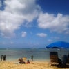 ハワイの青い海を見ていると・・・の画像
