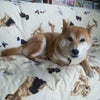 へんなポーズの画像