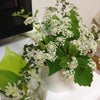 出来れば花の絶えない生活を…の画像
