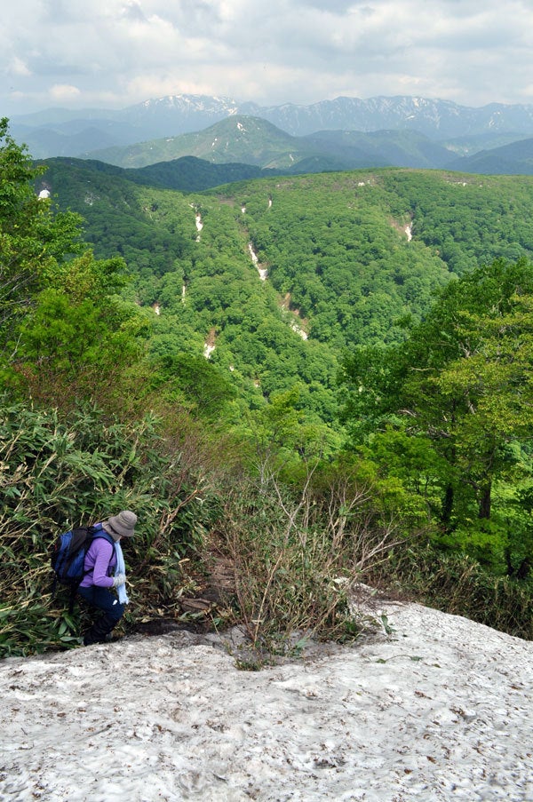 $白神山地ツアーの白神なびスタッフブログ-2013年6月上旬の白神山地「二ツ森」登山7
