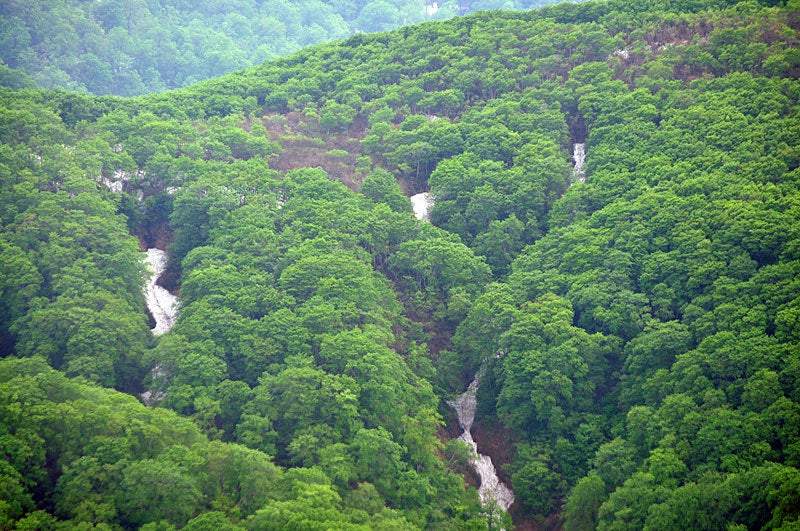 $白神山地ツアーの白神なびスタッフブログ-2013年6月上旬の白神山地「二ツ森」登山