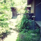 築140年の日本家屋の庭～造園～の記事より