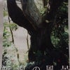 写真展の画像