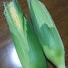 トウモロコシの画像