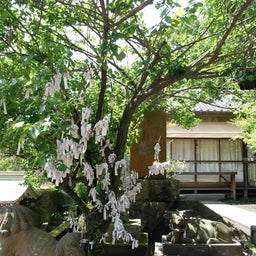 ☆o○*サ～ラ*o○☆ﾟの鹿児島写真さんぽ-30