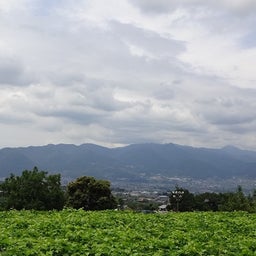 画像 山梨ワイナリーめぐり② の記事より 2つ目