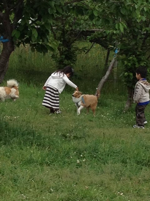 photo:03