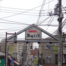 画像 東京_谷中銀座 の記事より 4つ目