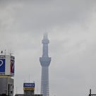 東京_谷中銀座の記事より