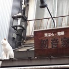 東京_谷中銀座の記事より