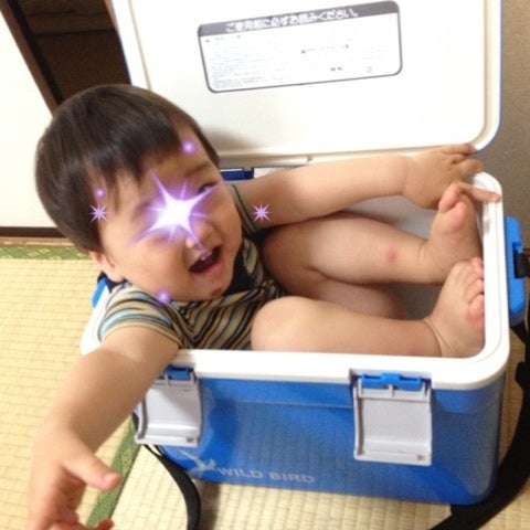 嵐の後☆の記事画像