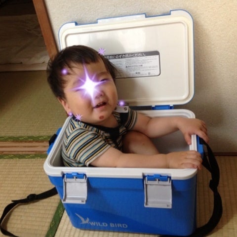 嵐の後☆の記事画像