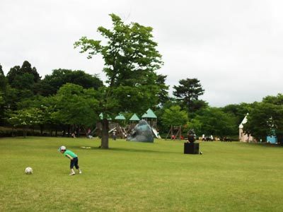 日本国花苑 秋田県井川町 で子供連れ夏遊び ときどきグルメになりたくなるブログ