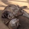 2013/06/27 03:17の画像