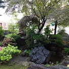 ランチ☆fianco a  fiancoの記事より