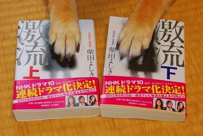 柴犬コロのトホホ日記-一気読み