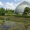 水辺の画像
