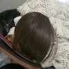かつら。の画像