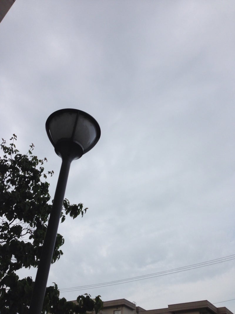 投稿写真