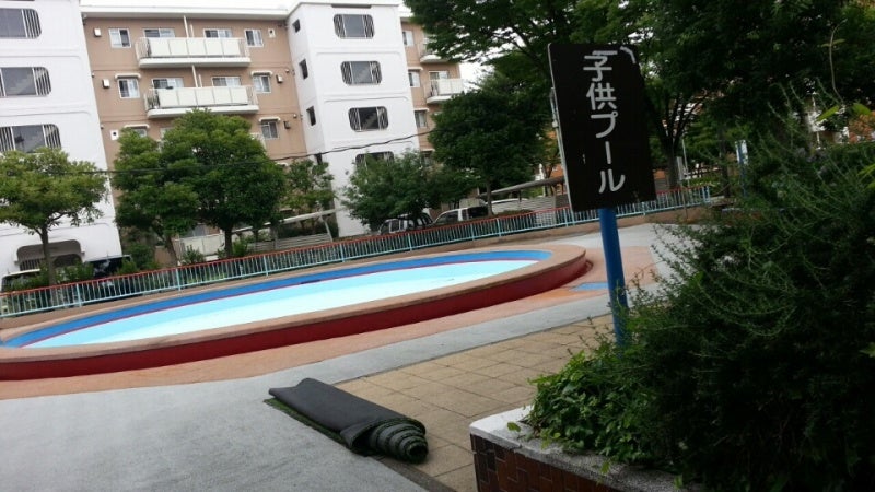 投稿写真