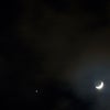 d.ear (디어) / Good Nightの画像