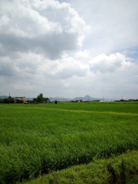 photo:01