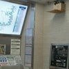 巣立ちの時の画像