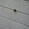 頑張って(^-^)/の画像