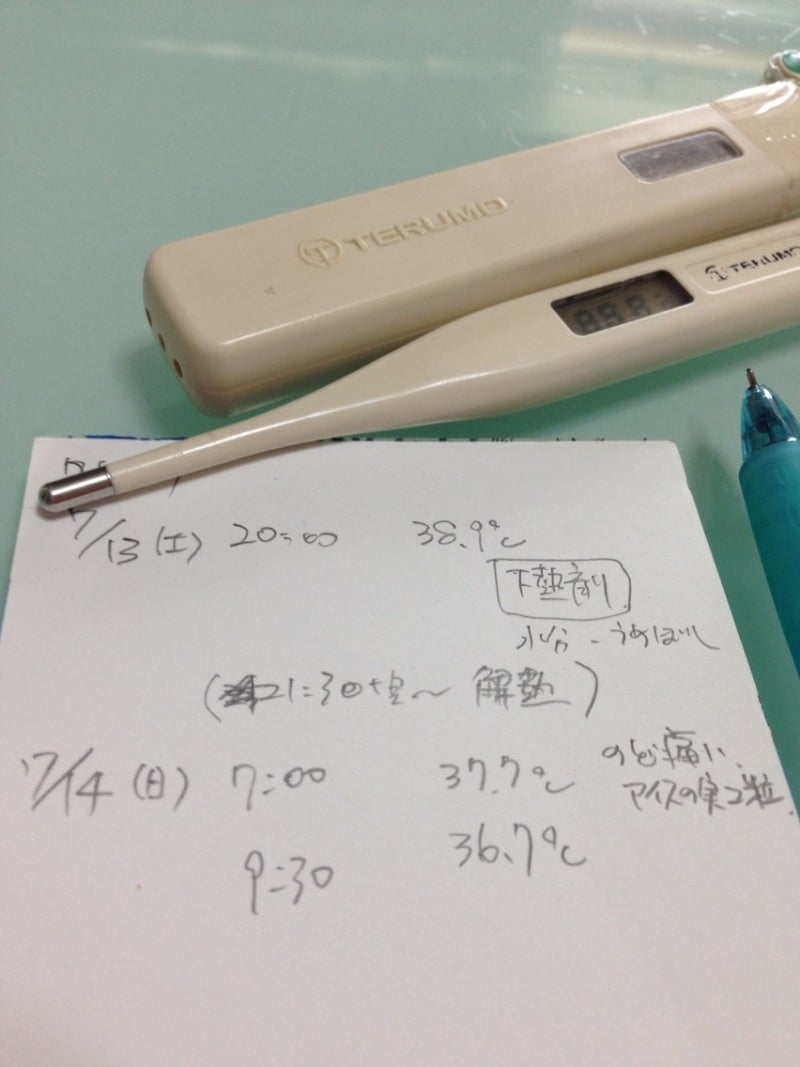 投稿写真