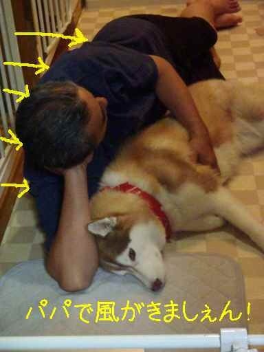 kenzzのブログ／ハスキー犬「リン姫」の成長日記