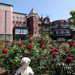 画像 白い恋人パーク☆Rose の記事より 3つ目