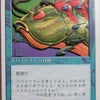 【MTG】セゴビアの大怪魚でシャドーボックスの画像