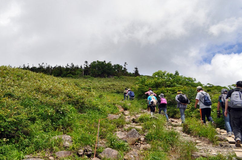 $白神山地ツアーの白神なびスタッフブログ-2013年7月下旬の森吉山登山8