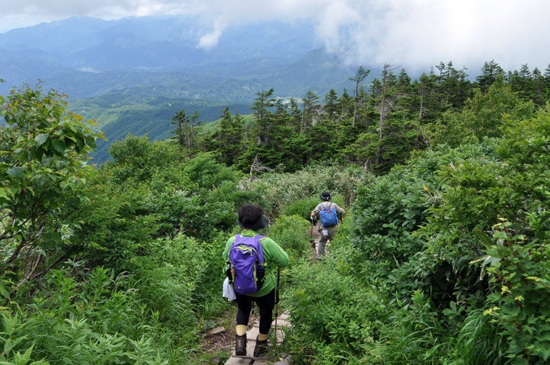 $白神山地ツアーの白神なびスタッフブログ-2013年7月下旬の森吉山登山2