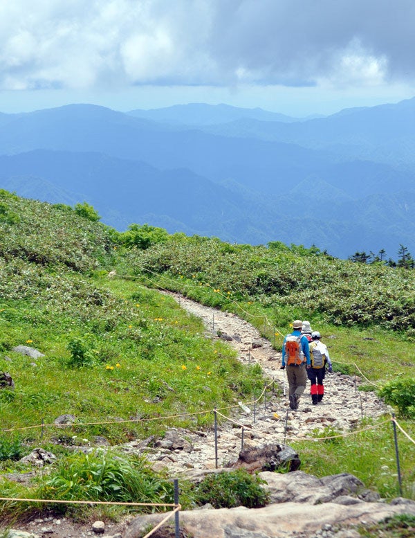 $白神山地ツアーの白神なびスタッフブログ-2013年7月下旬の森吉山登山15