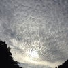 お疲れさまでしたの画像