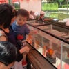 自然動物園の画像
