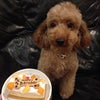 ♪Happiness♪の画像